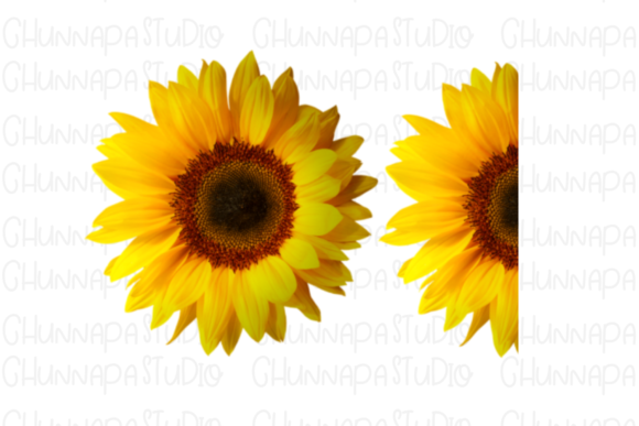 Instant Download - Sunflower Sublimation: A Strategic Tool for Creative Businesses